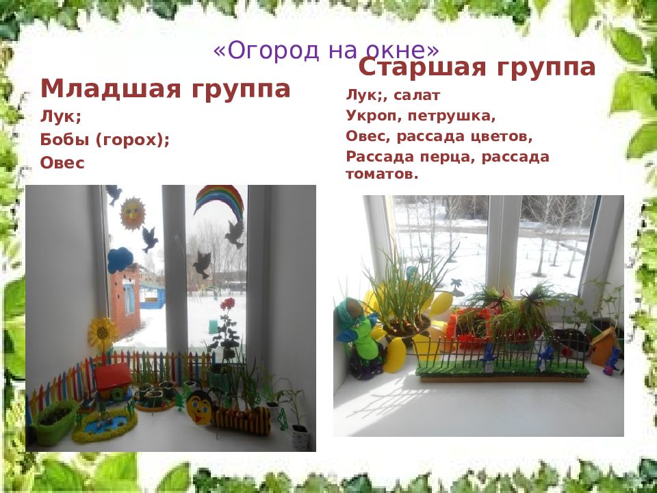 Уголок живой природы в детском саду: как правильно подобрать комнатные растения?
