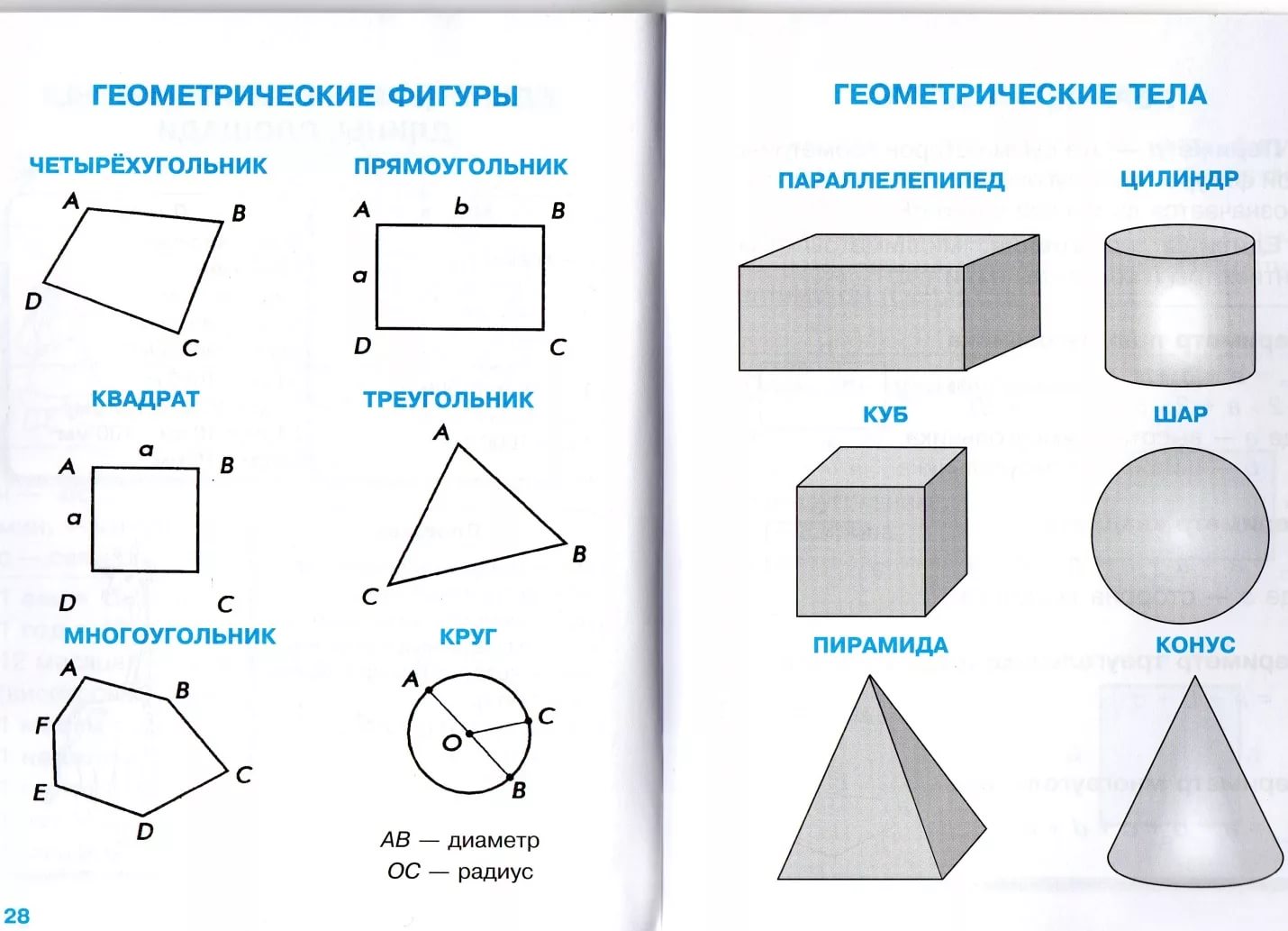 Плоские и объемные геометрические фигуры :: syl.ru