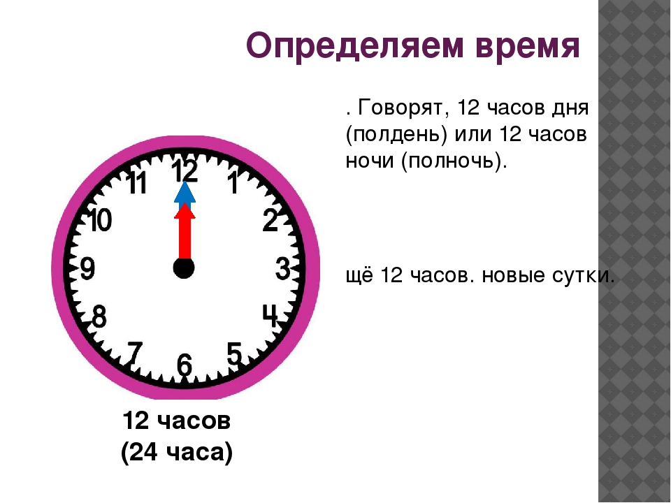 Сколько дней и часов в году – сколько секунд, минут и часов в году?