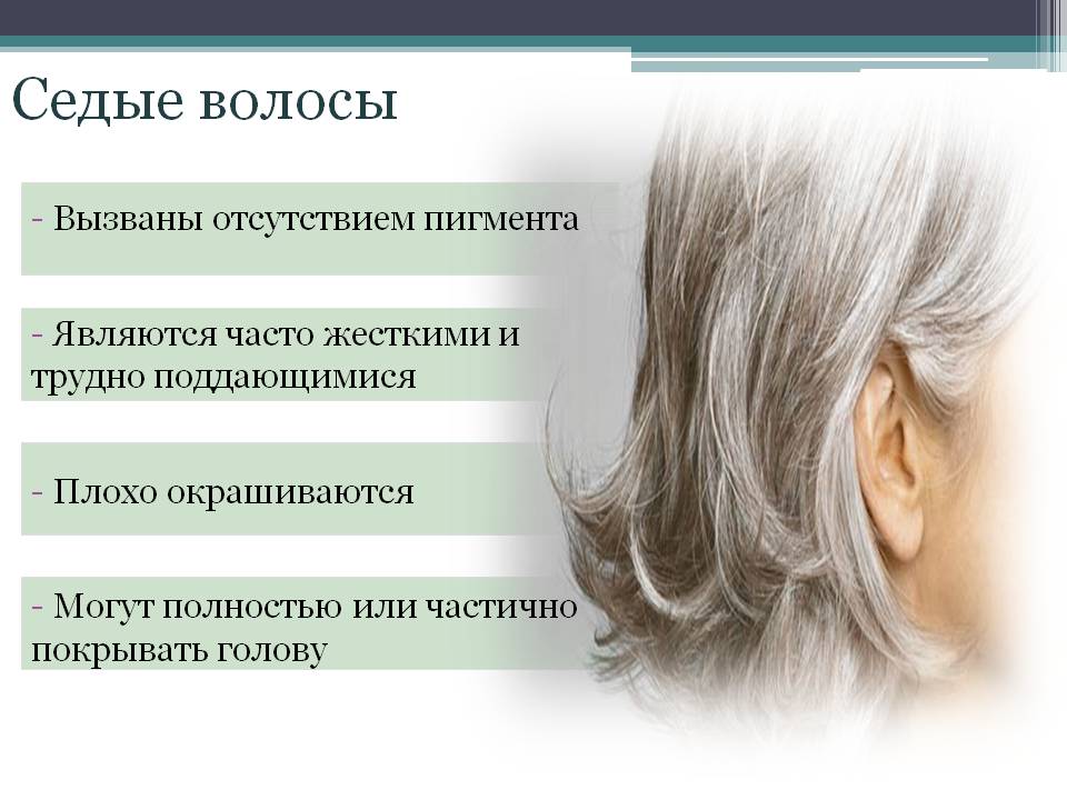 Значение слова «седой» в 10 онлайн словарях даль, ожегов, ефремова и др. - glosum.ru