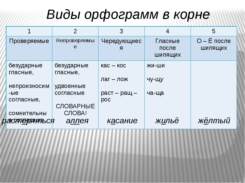 Урок 7: разбор по буквам и звукам - 100urokov.ru