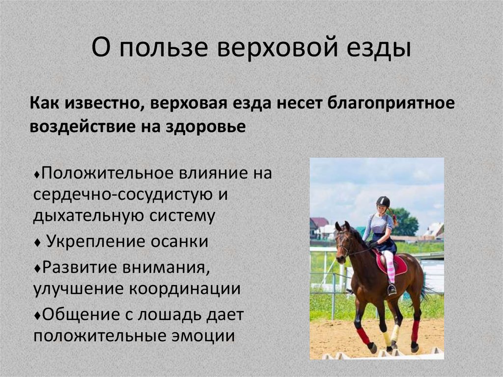 Техника безопасности с лошадьми в картинках