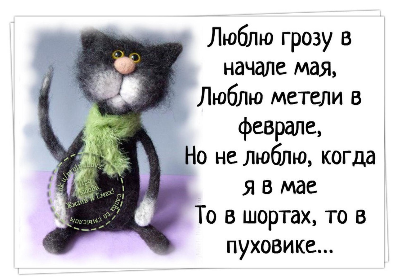 100 самых ярких русских народных пословиц и поговорок » notagram.ru