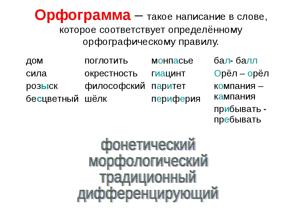 Орфограмма 18 по русскому языку. как подчеркивать орфограммы (подчеркнуть буквы гласные и согласные, знаки)