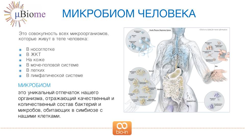 У всех на слуху: 30 известных каждому фраз, о происхождении которых знают лишь единицы