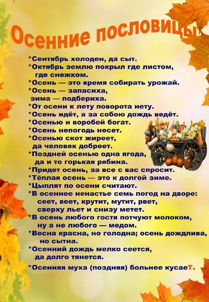 Осень: описание времени года, приметы, пословицы, прогноз, стихи и песни про осень