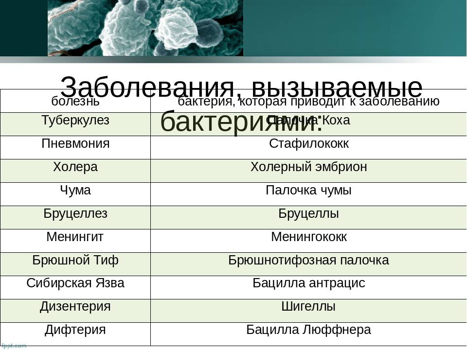 Косметические ингредиенты: что вредно для чувствительной кожи | портал 1nep.ru