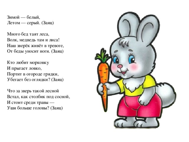 Сложные загадки про зайца. лесной красавец ушастый заяц. загадки про зайца для детей. детские загадки про зайца