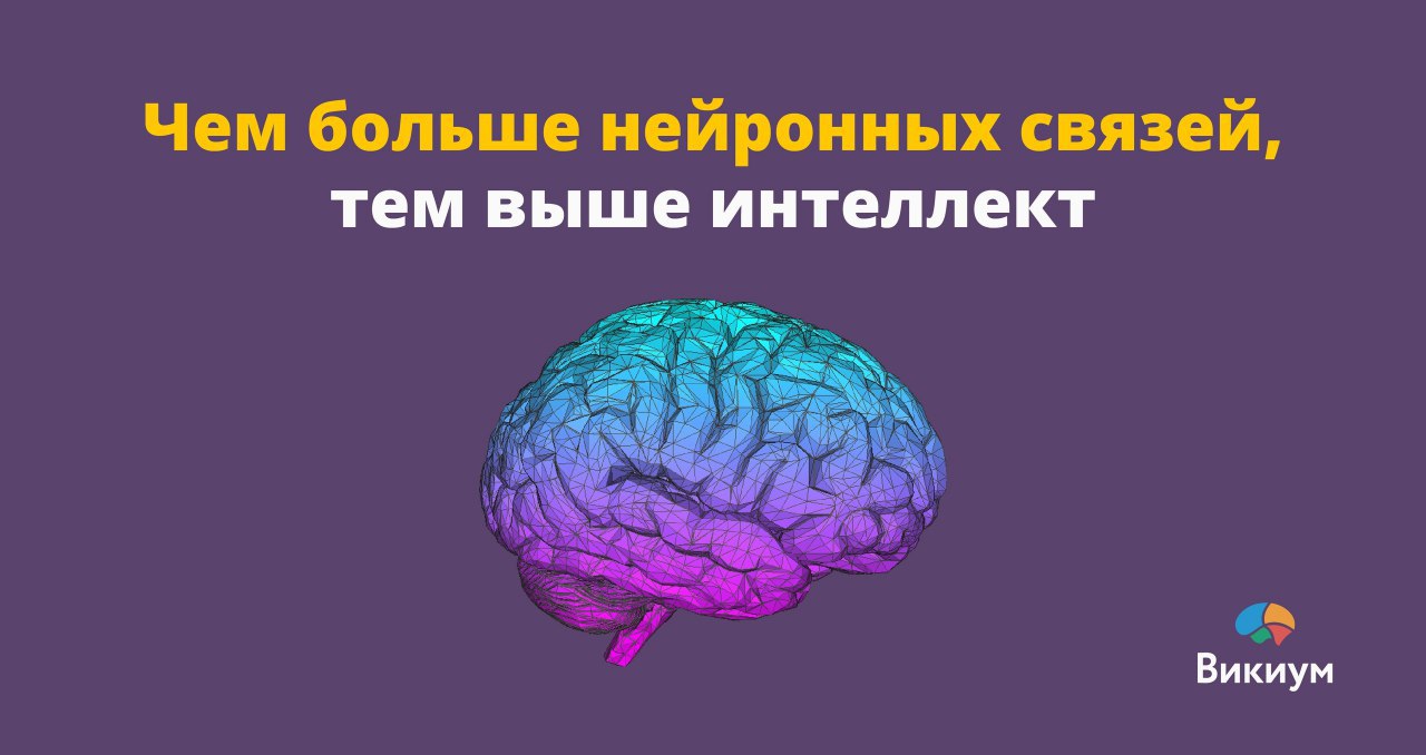 Прятки - популярная подвижная игра, знакомая лицам всех возрастов. дворовая игра призвана сплотить ребят.