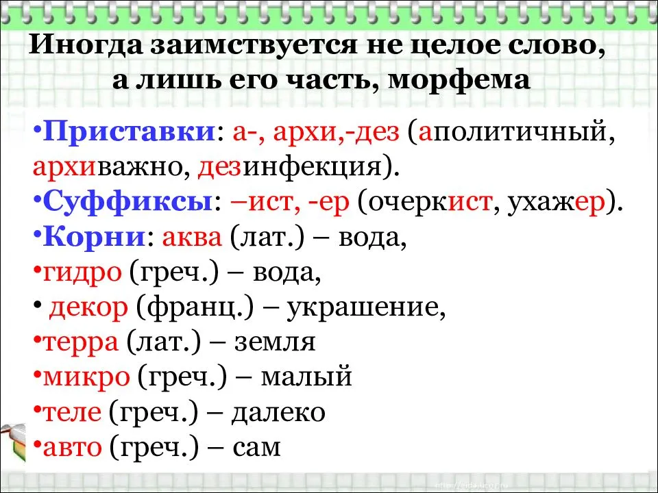 Освоение заимствованной лексики в русском языке