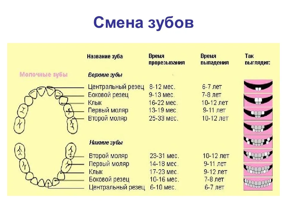 40 неделя беременности – что происходит на сороковой неделе беременности: тошнота, выделения, предвестники родов - agulife.ru