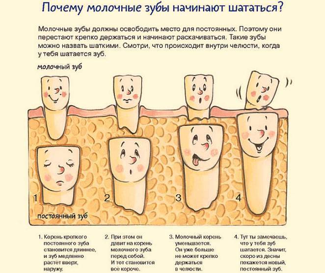 Топ 12 мифов о детской стоматологии | молочные зубы можно не лечить?