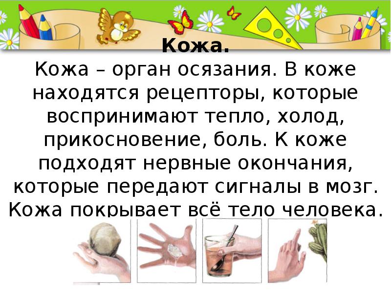 Консультация для родителей
«гигиена детей дошкольного возраста» | здоровье, физкультура  | воспитатель детского сада / всероссийский журнал