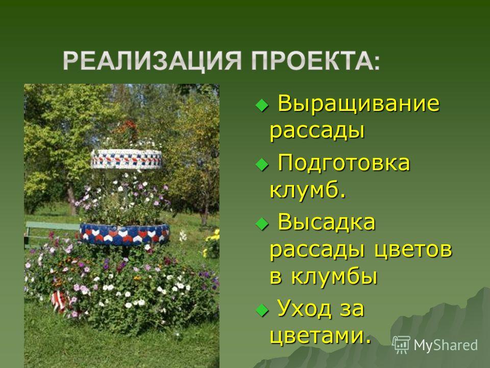 Проект выращивание сельскохозяйственных растений на школьном дворе