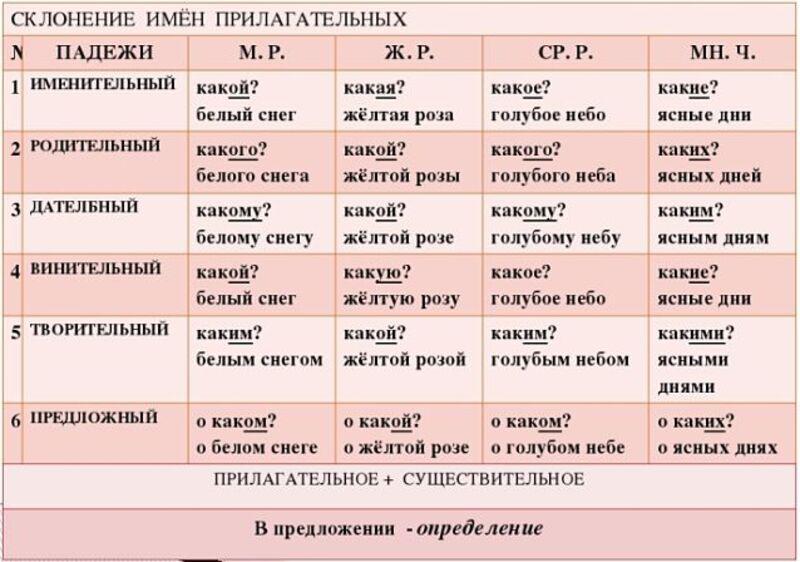 Склонение прилагательных в русском языке: правила, таблица, примеры