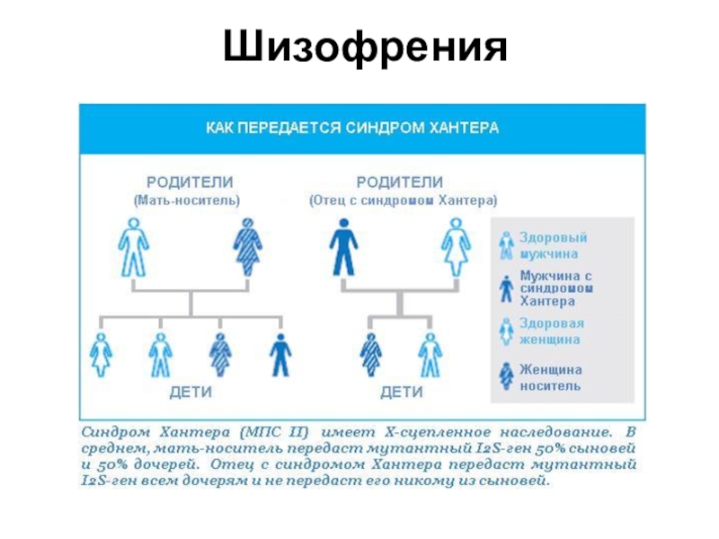 Факторы развития ребенка - детская городская поликлиника №1 г. магнитогорска