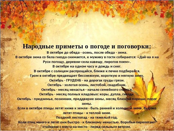 Стихи про сентябрь | antrio.ru