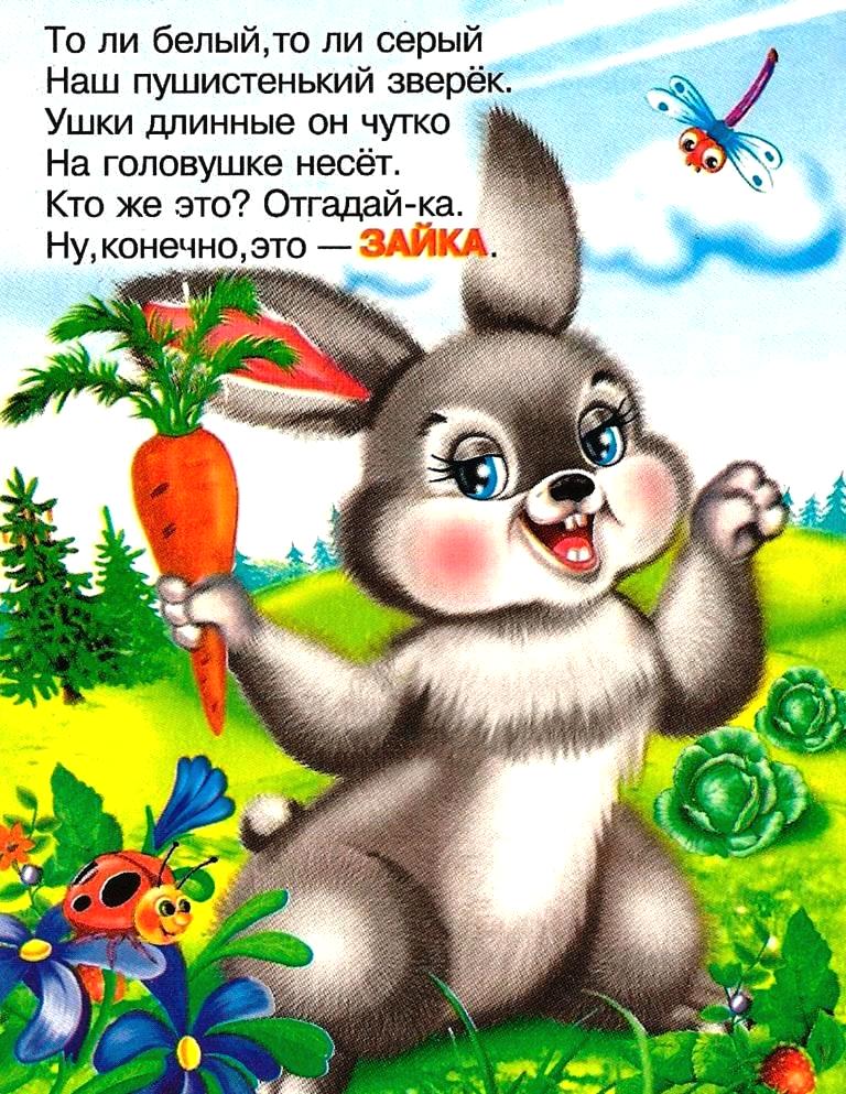 Лесной красавец ушастый заяц. загадки про зайца для детей