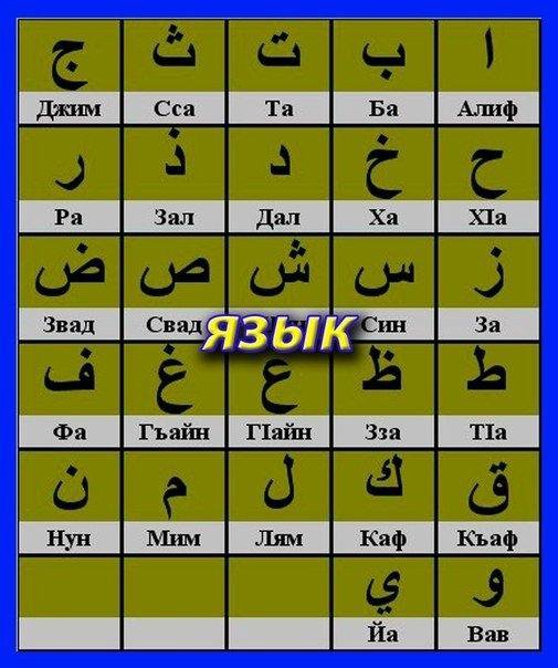 Курдские слова похожие на русские. курдский русский словарь онлайн