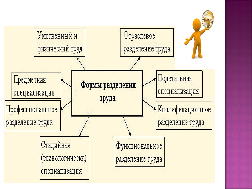 § 45. цепи и сети питания. трофические уровни: *пастбищные и детритные цепи