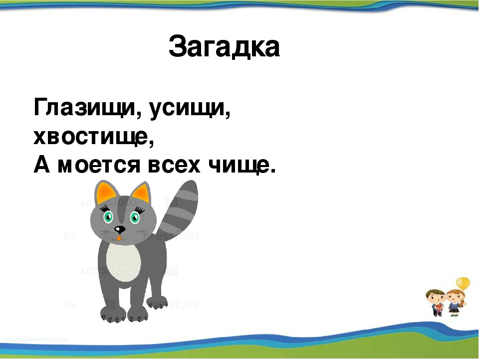 Загадки про кошку - подготовка к школе и развивающие задания для детей мама7я