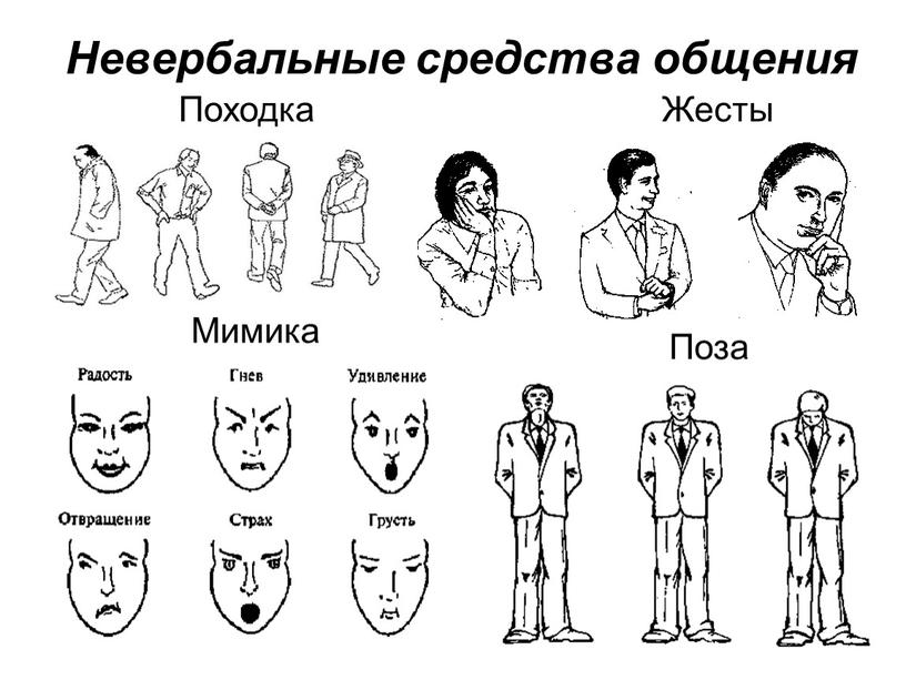 20 примеров языка тела и что они показывают