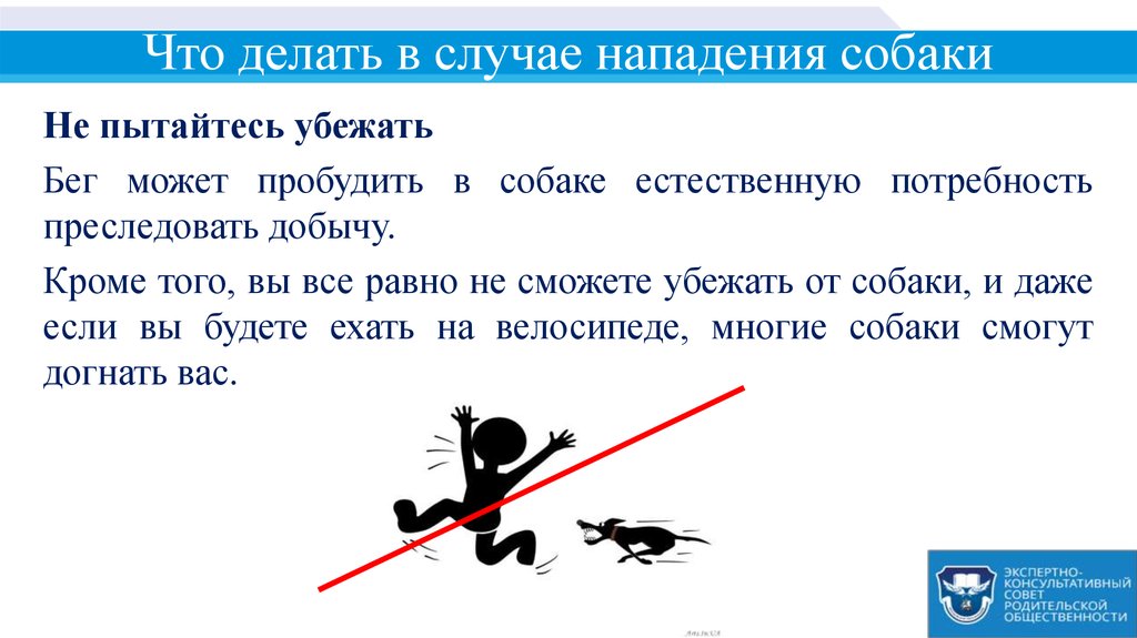 «ты та самая толстуха из instagram»: как реагировать на киберагрессию, сталкинг и аутинг в соцсетях
 / благотворительный проект +1люди