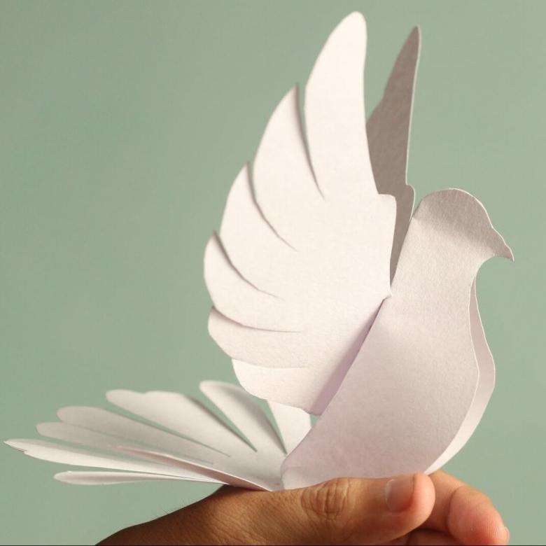 Поделка голубь своими руками - 71 фото идей бумажных голубей