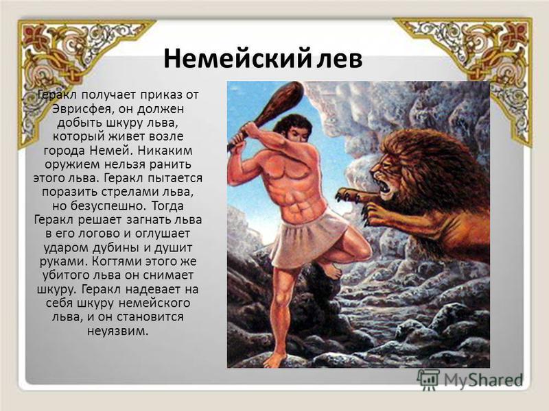 Геракл - история мифического героя, сын зевса, 12 подвигов и экранизации - 24сми