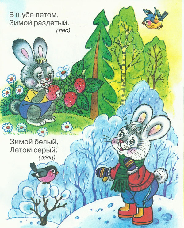Веселые и добрые загадки про зайца Заяц вислоухий, трусишка, косой, попрыгунчик Эти и другие качества зайчонка в лесных загадках про зайца
