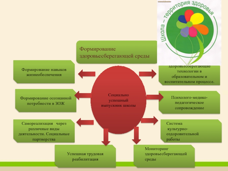 Программа формирования среды образовательной организации