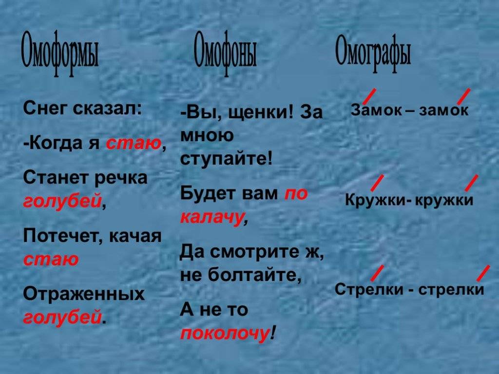 Омонимы в русском языке
