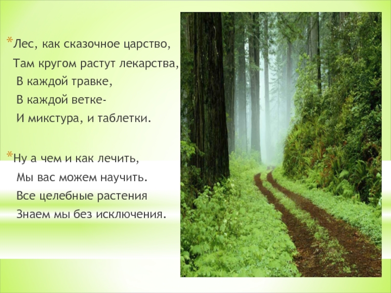Поэзия о лесе. Стихи о лесе. Стихотворение про лес. Стихотворение про лесс. Стих про лес короткие.