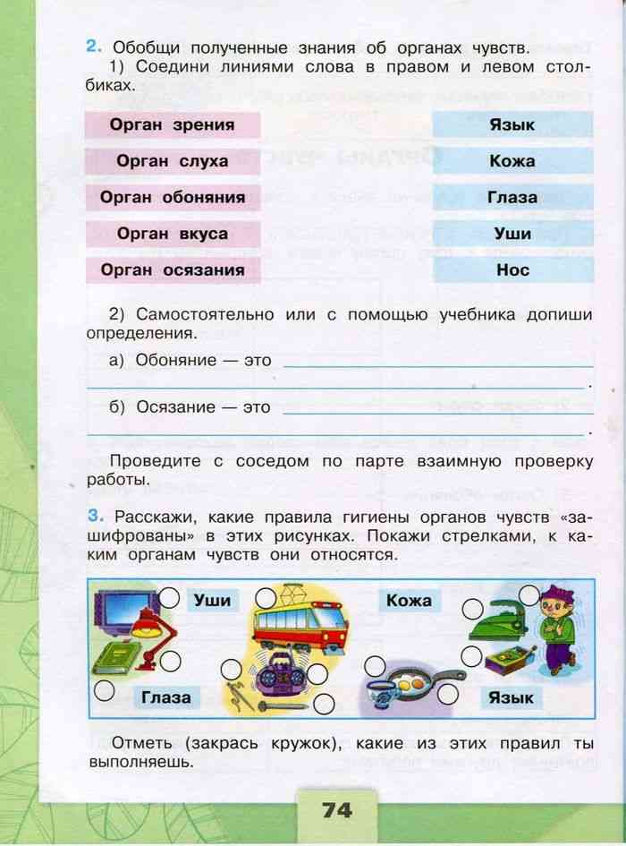 Олимпиада по окружающему миру 3-4 класс | doc4web.ru