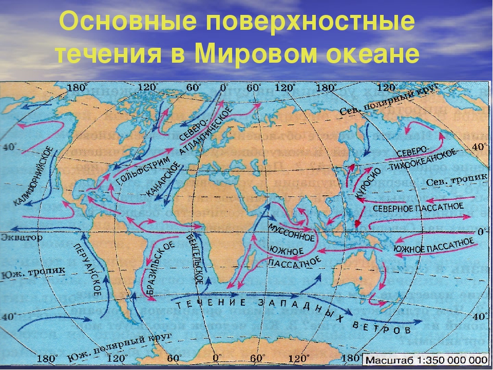 Карта течений мирового океана с названиями теплых и холодных