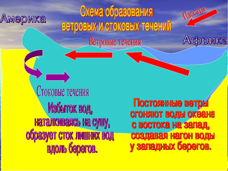 Урок 5: гидросфера - 100urokov.ru