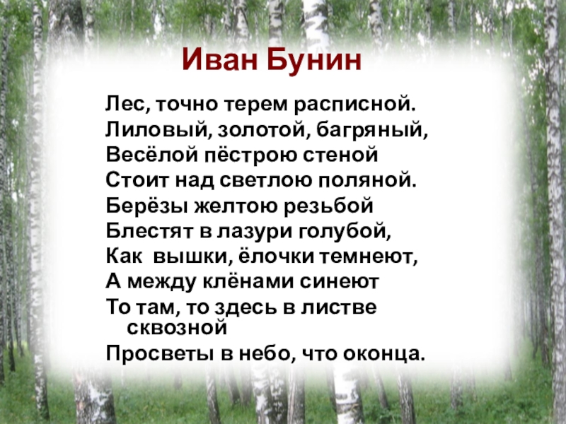 Стихи, берущие за душу - о жизни и любви | rl разные люди