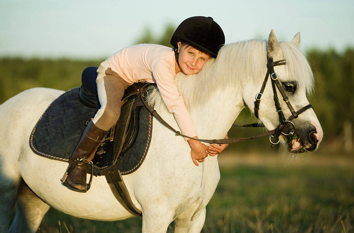 Чем полезен конный спорт — плюсы и минусы
