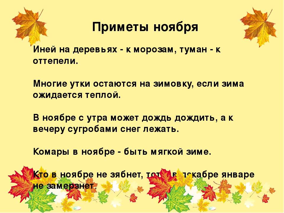 Сергей есенин — закружилась листва золотая: стих