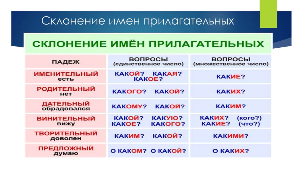 Падежи и склонение имён прилагательных | русский язык
