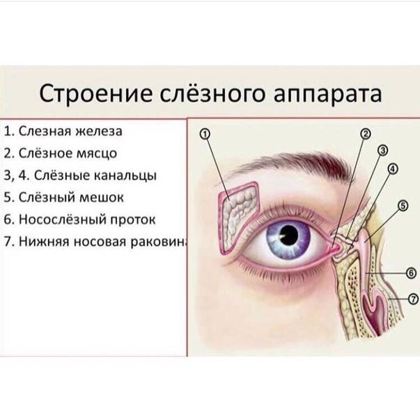 Приморский центр лазерной коррекции зрения и офтальмохирургии