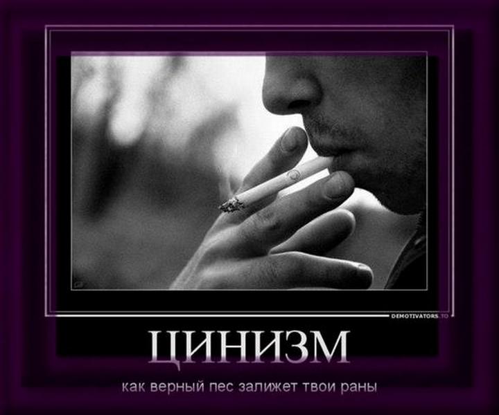 Кто такой циник простыми словами и что значит циничный человек: значение слов | mma-spb.ru