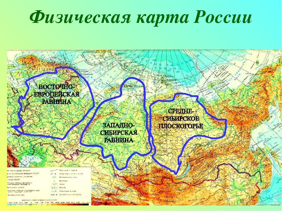 Крупнейшие равнины россии. самые большие равнины на территории россии: названия, карта, границы, климат и фото