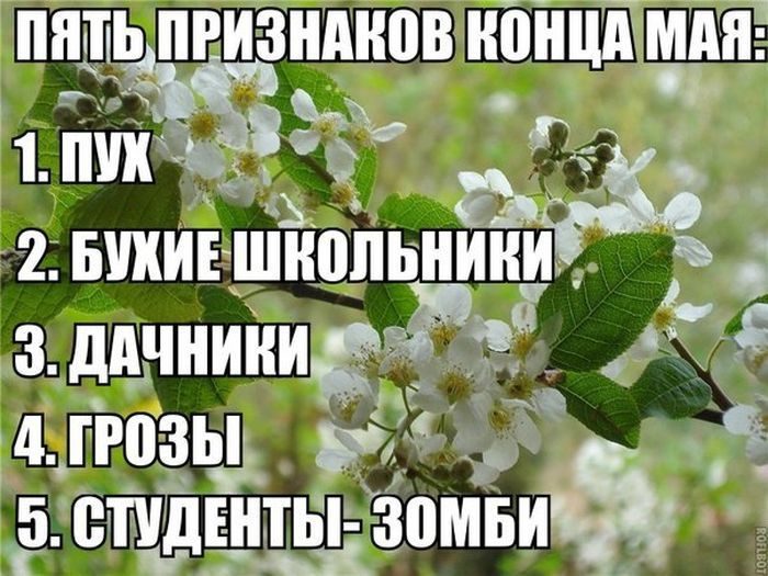 Картинка май месяц не май месяц