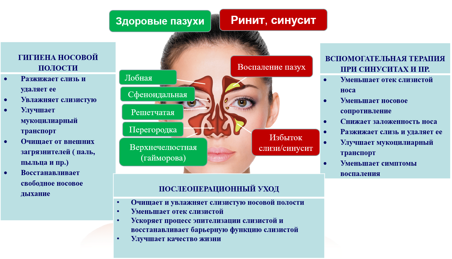 Симптомы заложенность носа без насморка. Острые и хронические насморки и синуситы.