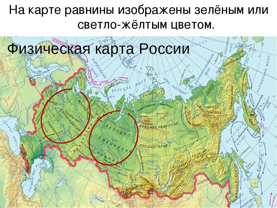 Урок 4: равнины и горы россии - 100urokov.ru