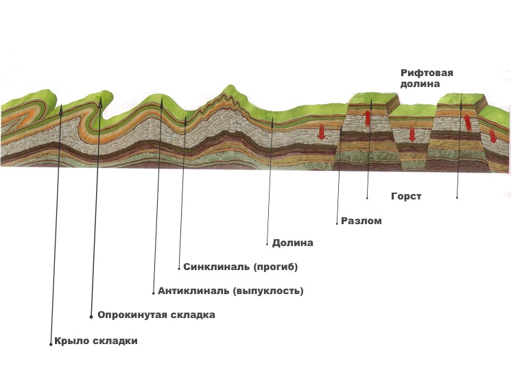 Геологические процессы горных пород. Горст антиклиналь. Геологические складки. Складки земной коры. Гора в разрезе.
