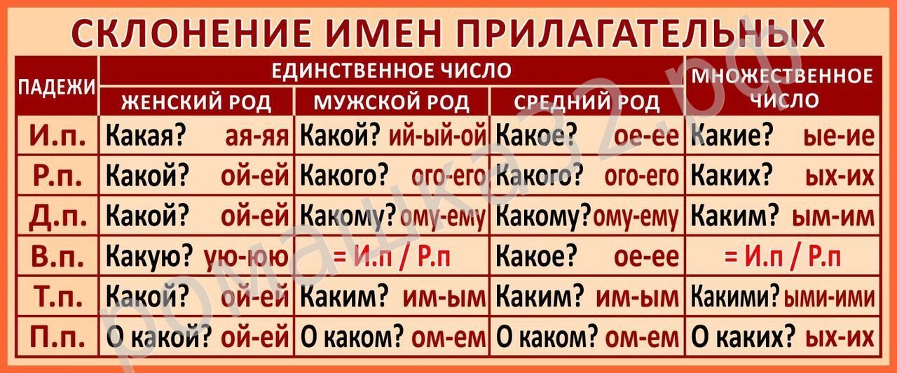 Правописание окончаний имен прилагательных | русский язык