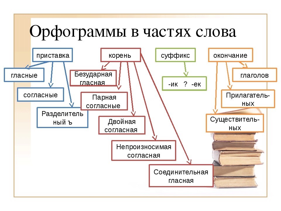 Орфограмма – что это такое в русском языке, определение и примеры слов (1 класс)