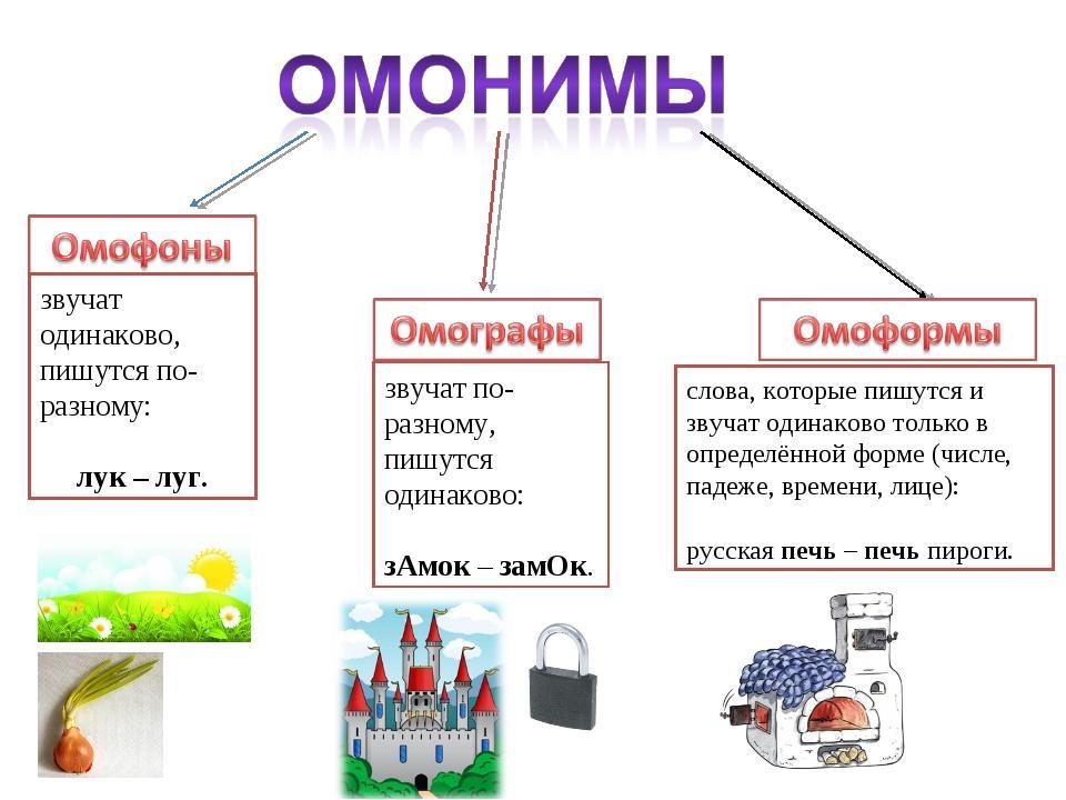 Картинки омографы для детей